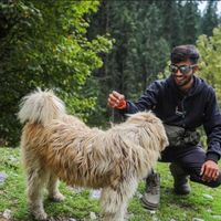 Meet Prajapati's Photo