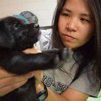 Marisa Jeepjaap的照片