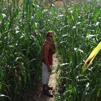 Le foto di Alexis Vidal