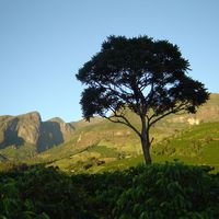 AUDENICE TAVARES's Photo