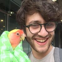 Фотографии пользователя Max Frank