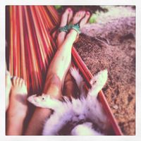 Michelle Wood's Photo