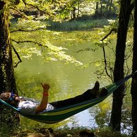 sadegh Saeedi的照片