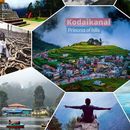 🌟Couch Surfing Republic Day Vibes @K❤️DAIKANAL 🌟's picture