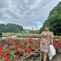 Hannah Posadas的照片