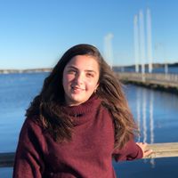 vana Minassian的照片