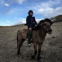 Ruth van Mourik's Photo