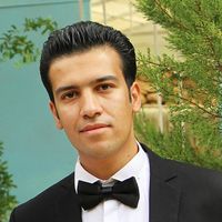 Pouria Abbasi的照片