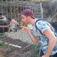 Miguel Peña的照片