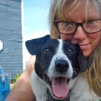 Le foto di Kim Odine