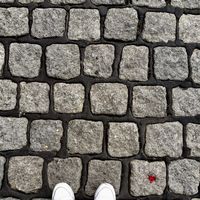 Michelle Jaow的照片