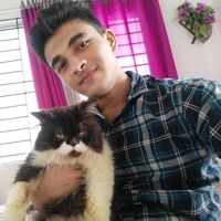 MD MAMUN HOSSEN's Photo