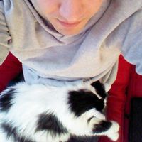 Zdjęcia użytkownika Amin Hashemi