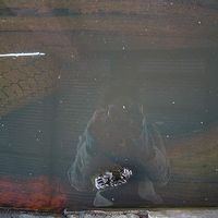 Adéle Berthe's Photo