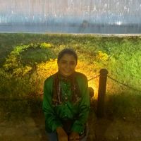 Shaymaa M. Labib's Photo