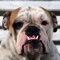 Jakub Rusin的照片