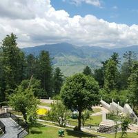 Syedah Javed's Photo