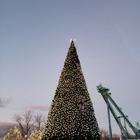 Shqipe Junuzi's Photo