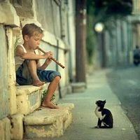 Fotos de Saad Ansary