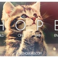 Alen Makaronov的照片