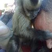 Seth Rosenberger's Photo