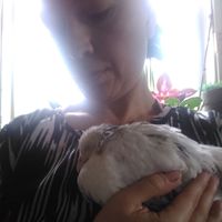 Micha Steadson的照片