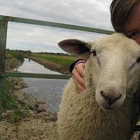 Josefin Gleinig的照片