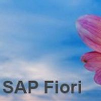 SAP  Fiori's Photo