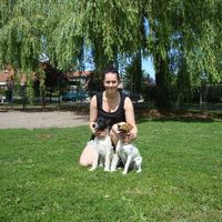 Desirée Karlsson's Photo