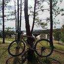 Discover Da Lat by Bicycle 's picture