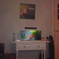 Sophie Schra's Photo