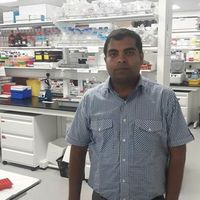 Jitender Singh的照片