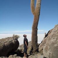 Francois Labat's Photo