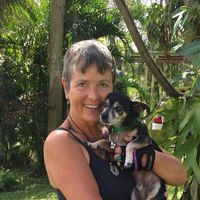 Ahowan ICrow's Photo