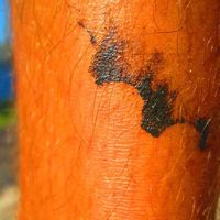 Facundo Rodriguez的照片