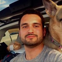 Farzad Khosravi的照片