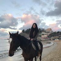 Фотографии пользователя Sarah Huang