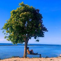 Cliven Madcow Calunsag的照片