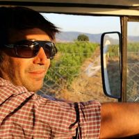 veysel Gultekin's Photo