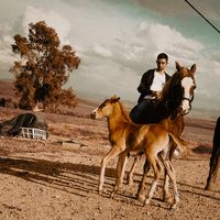 Anes Hireche的照片