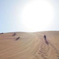 Meghan Brophy's Photo