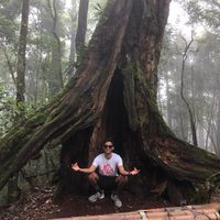 Bendegúz Pungor's Photo