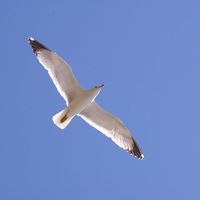 Tina Fishbone的照片