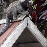 Ines Ramirez的照片