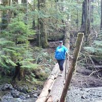 Fotos von Erica Dickson