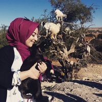 Photos de Elif Atılgan