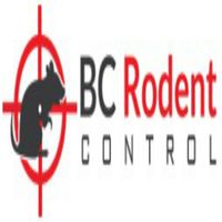 Photos de Vancouver Rodent Control