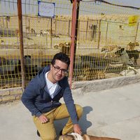 Mohammad Samadi's Photo