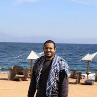 Hossam Gaber的照片