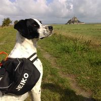 noemie de mul's Photo